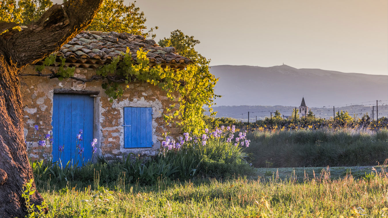 Mazan en Vaucluse Provence