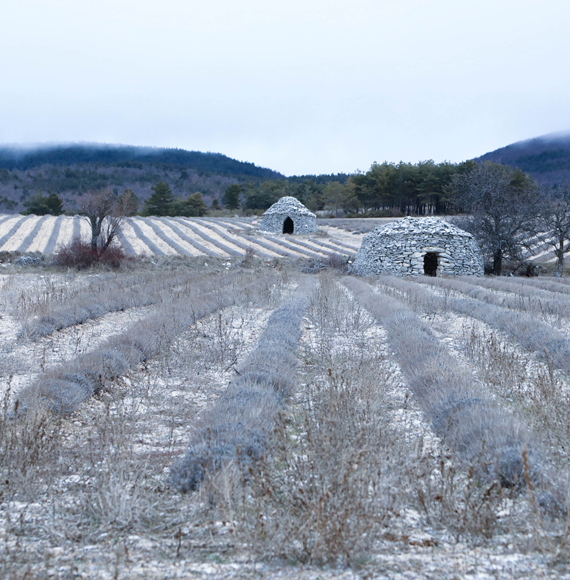 Bories de Provence en hiver