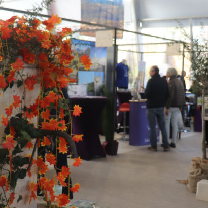 Ventoux Provence Expo : entre tradition et modernité