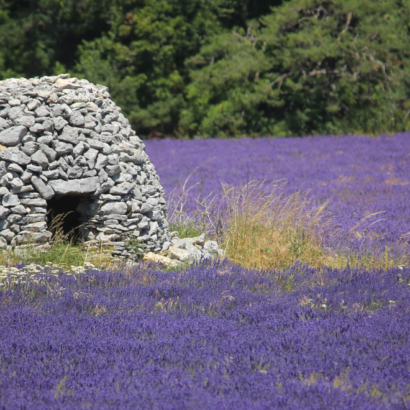 L'art ancestral de la pierre sèche en Vaucluse