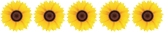 5 fleurs