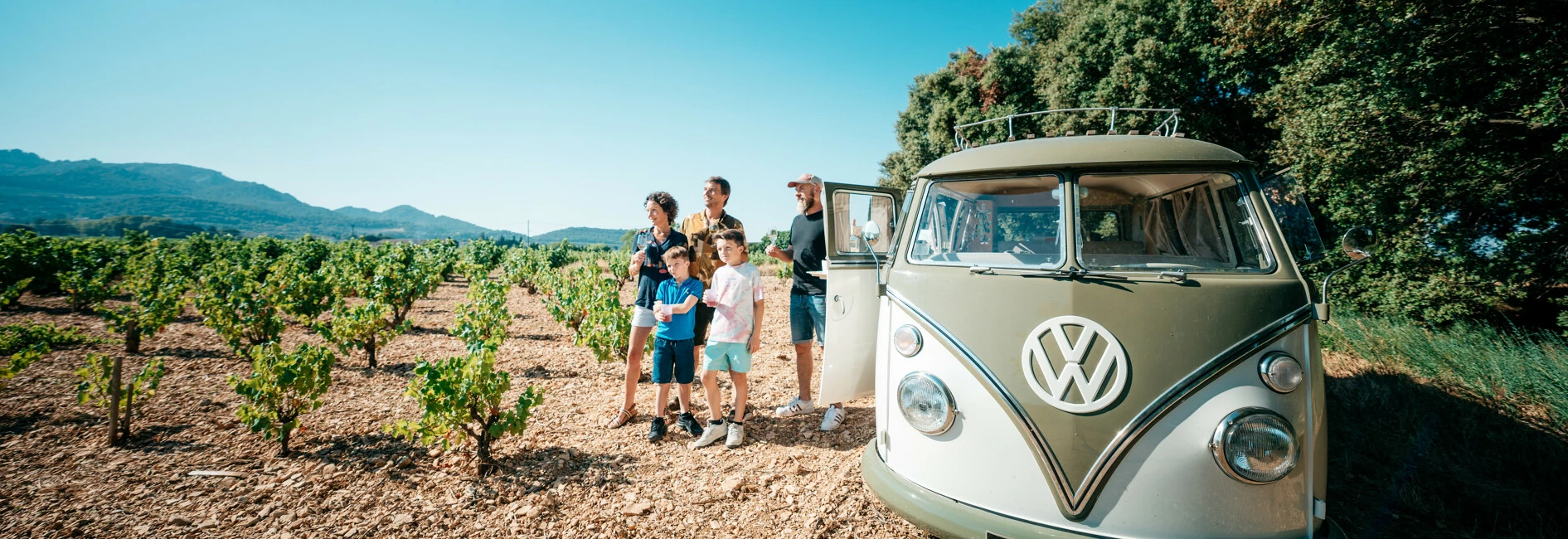 Balade dans les vignes  © O'Brien
