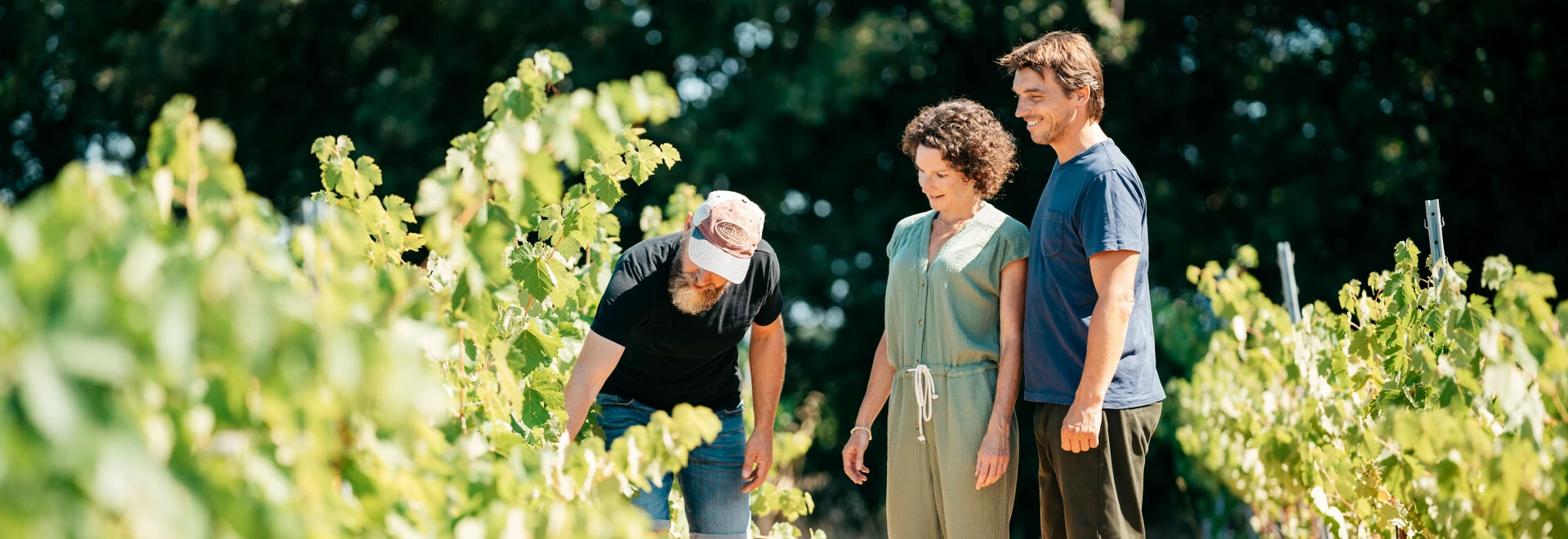 Balade dans les vignes  © O'Brien