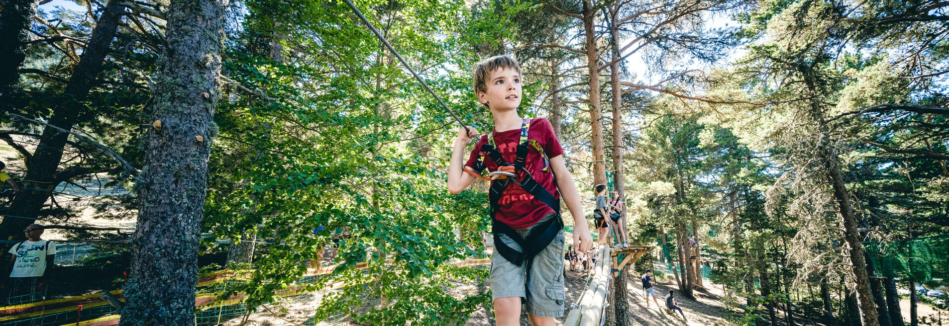 Parcours forestier en Vaucluse  © O'Brien