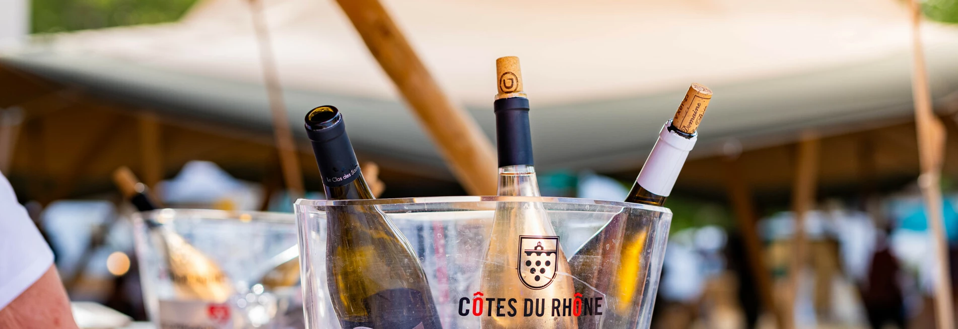Animation autour du vin  © Cortez