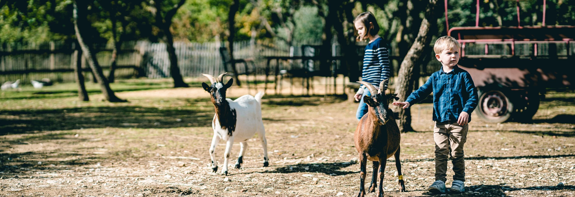 Enfants visitant une ferme pédagogique  © O'Brien