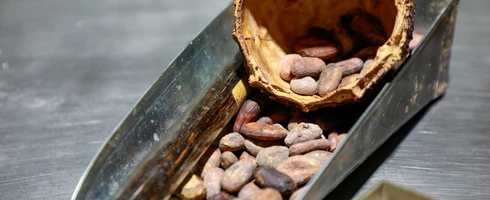 Fèves de chocolat  © Hocquel