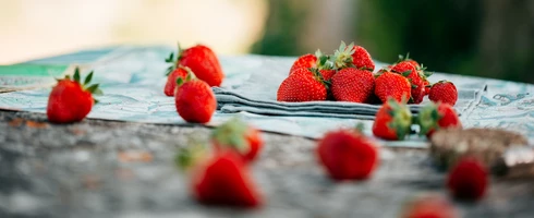 Fraises de Carpentras  © O'Brien