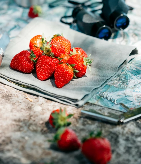 Fraises de Carpentras  © O'Brien