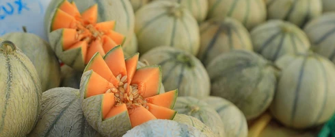Melons au marché  © Hocquel