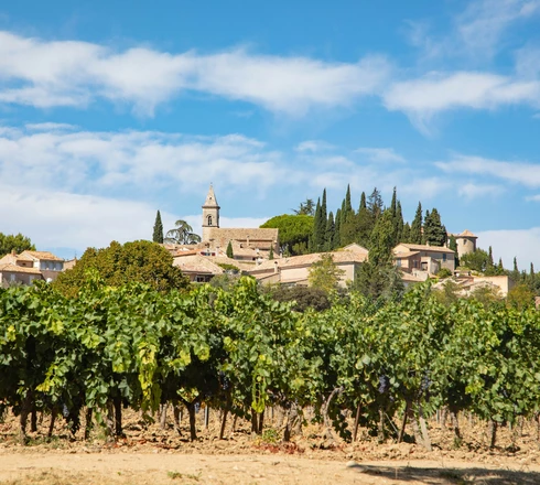 Vignes à Roaix dans le Vaucluse  © Hocquel