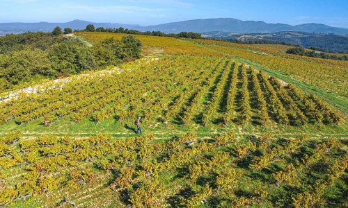 Appellations
