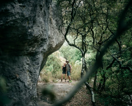 Randonneurs en forêt  © O'Brien