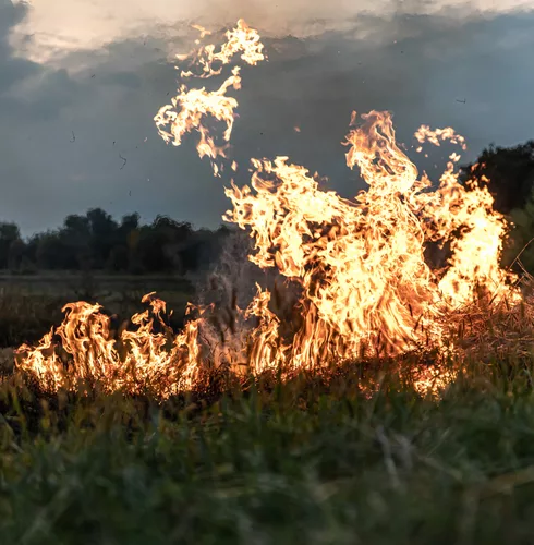 Feu en forêt  © pvproductions - Freepik