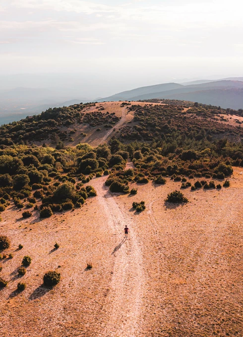 Mourre Nègre dans le parc naturel régional du Luberon  © LezBroz