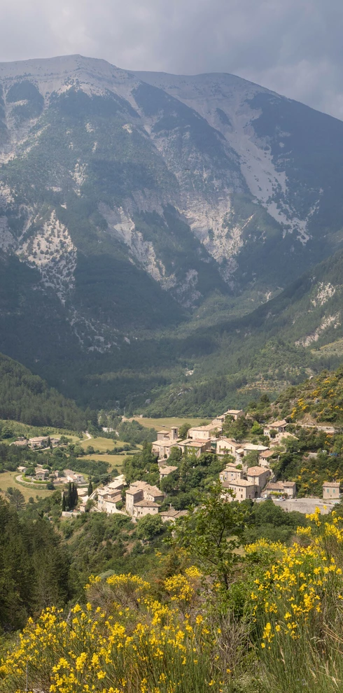 Brantes au pied du Ventoux  © Hocquel