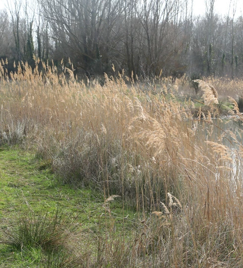 Espace Naturel Sensible d'Aubignan dans le Vaucluse  © Hocquel