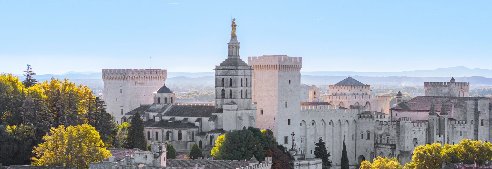 Avignon et le Palais des Papes  © Abbès