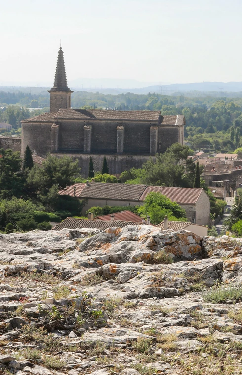 Vue depuis la randonnée du sentier de la Garance  © Hocquel