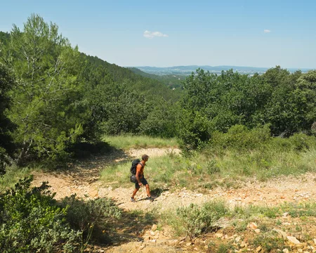Randonnée à Mondragon  © Genestal