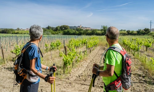 Randonnée Châteauneuf-du-Pape