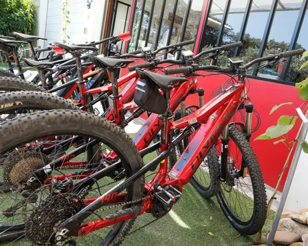 location de vélos en Vaucluse  © Hocquel