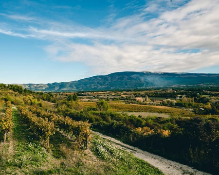 Parc naturel régional du Mont-Ventoux  © O'Brien