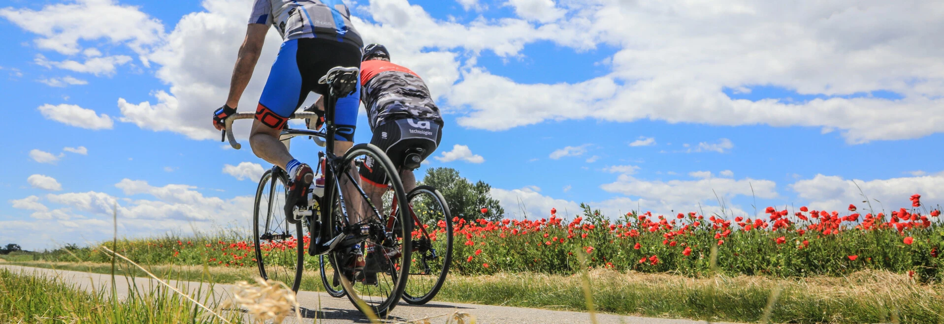 Cyclistes et champs de coquelicots  © Hocquel