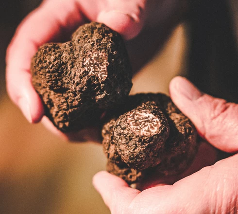 Truffes  © LezBroz