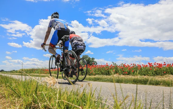 Cyclistes et champs de coquelicots  © Hocquel