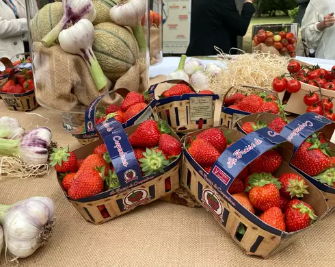 Terroirs en fête