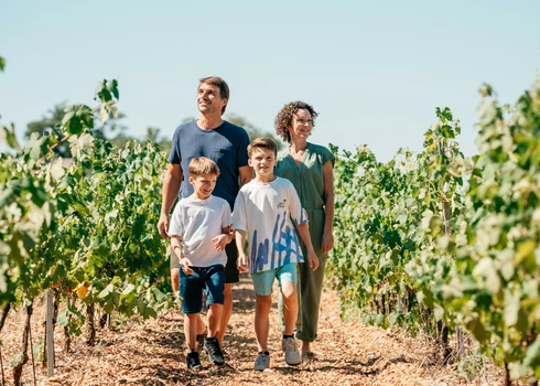 Famille dans les vignes au printemps  © O'Brien