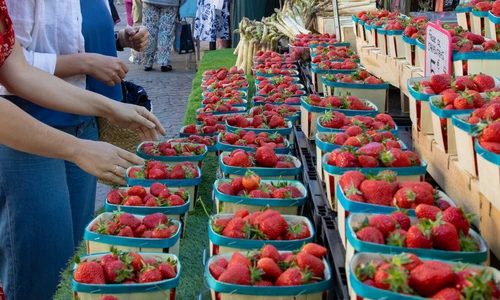 Sorties gourmandes du printemps