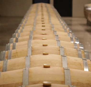 Tonneaux d'un domaine du Vaucluse  © Hocquel