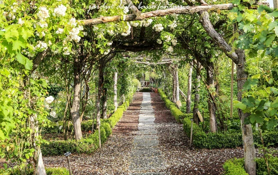 Jardin de la basse Fontaine en Vaucluse  © Jardin de la basse Fontaine