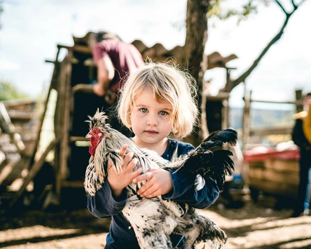 Jeune enfant portant une poule  © O'Brien