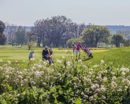 Joueurs de golf  © Hocquel