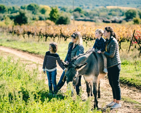 Balade avec les ânes  © O'Brien