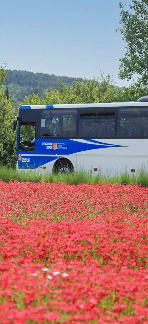 Bus du réseau Zou!  © Hocquel