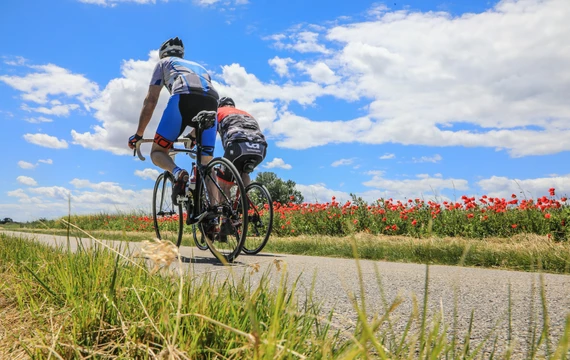 Cyclistes et champs de coquelicots  © Hocquel