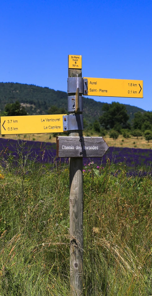 Randonnée chemin des lavandes  © Hocquel