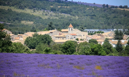 Route de la Lavande