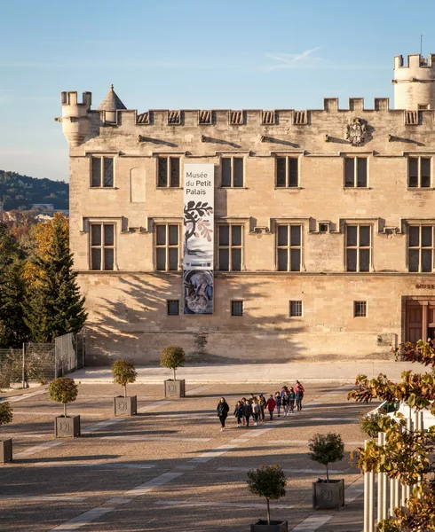 Visiteuse au Musée du Petit Palais à Avignon  © Hocquel