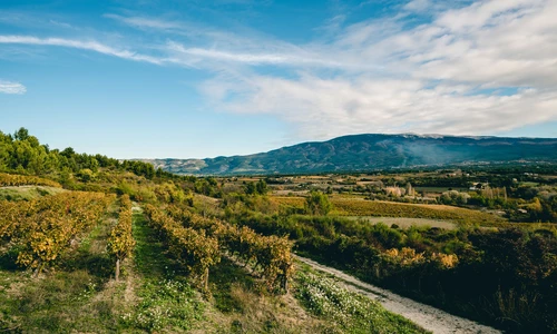 Mont-Ventoux