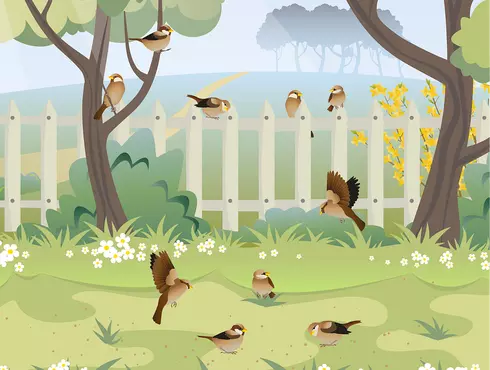 Jardin dessiné