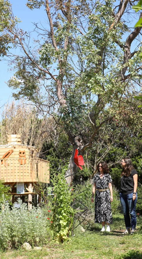 Naturoptère en Vaucluse  © Hocquel