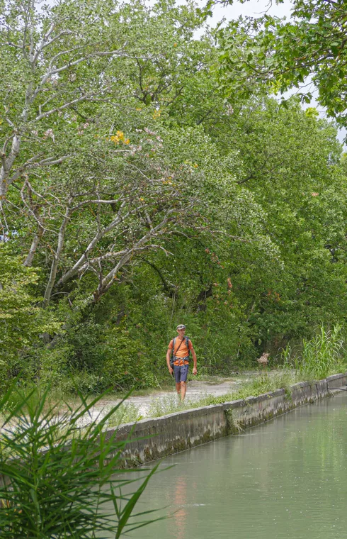 Randonnée le long du canal de Carpentras  à Velleron  © Genestal