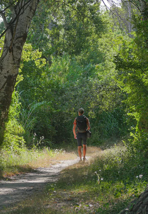 Randonnée sur l'ile de la Barthelasse à Avignon  © Genestal