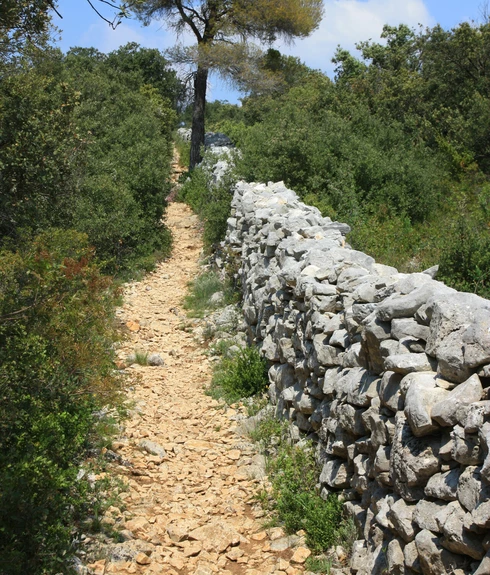 Mur de la peste en Vaucluse  © Hocquel