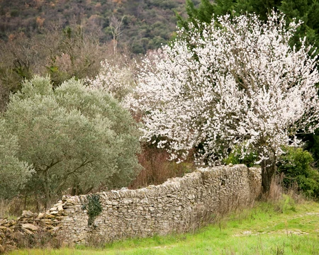 Muret en pierre sèche  © Valiz Storiz